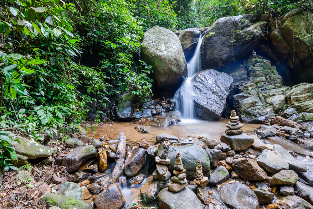 Tijuca Forest Rio de Janeiro Environment Conservation