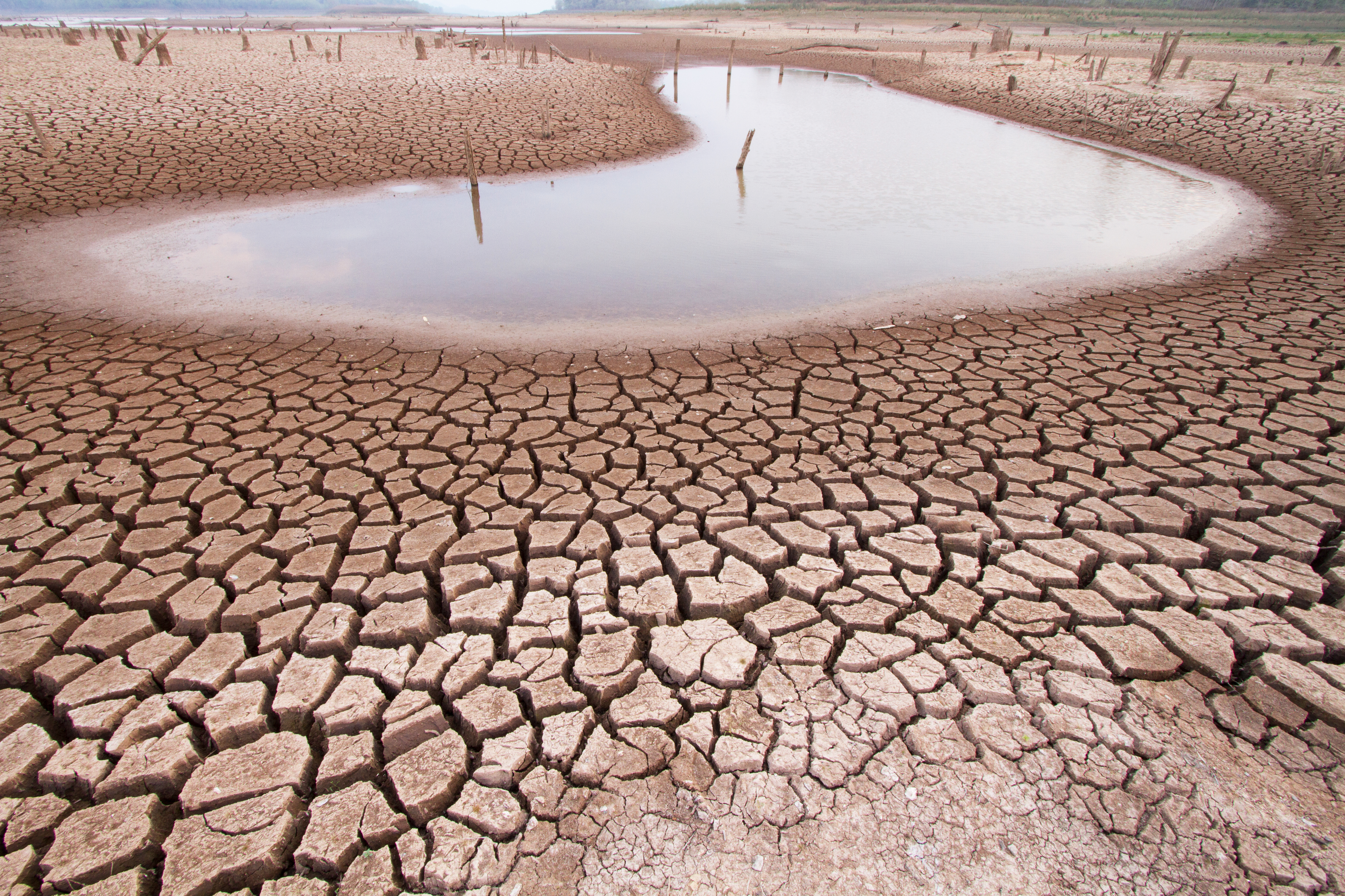 Drought El nino Brazil