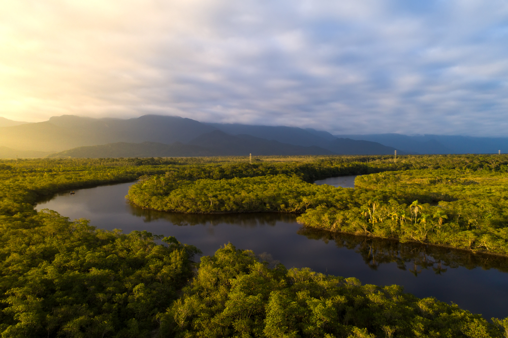 Brazil Environment Amazon Bolsonaro