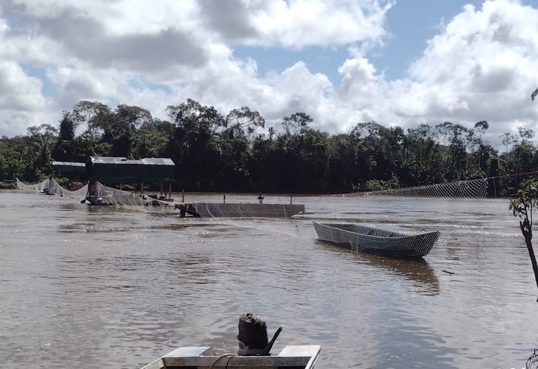 Blockade set up by IBAMA on the Uraricoera river, Yanomami Indigenous Land (IBAMA courtesy)