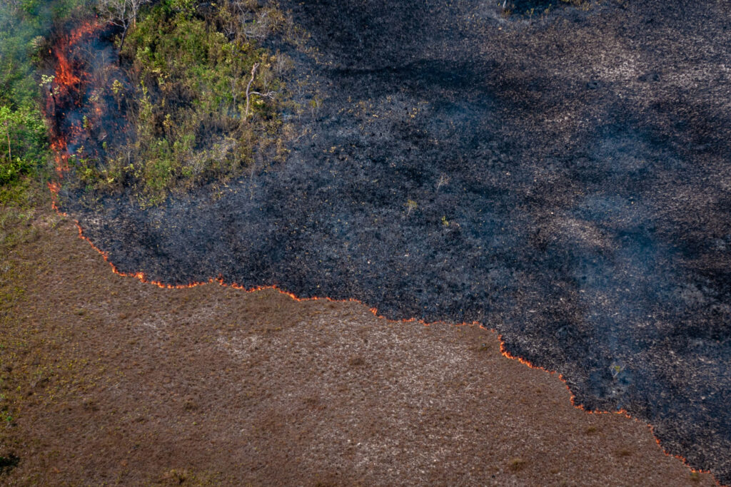Aerial images show fires consuming the Amazon rainforest (courtesy of Vinícius Mendonça/Ibama)