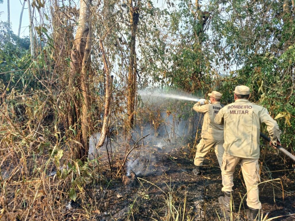 Firefighters control fire in area in the south of the state of Amazonas (Government of Amazonas courtesy)