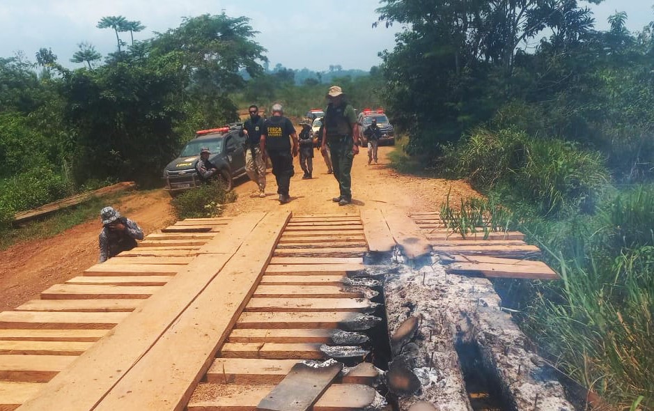 Operation to remove invaders from Indigenous Lands in the state of Pará (courtesy of Agência Brasil)