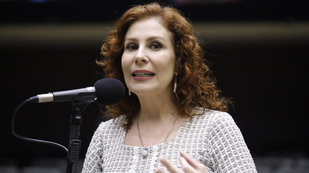 Congresswoman Carla Zambelli during a session in the Chamber of Deputies in November 2024 (Mário Agra / via Câmara dos Deputados)